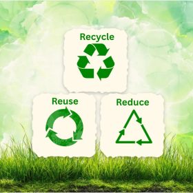 reuse recycle